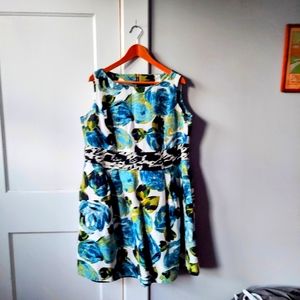 Taylor dress size 16w